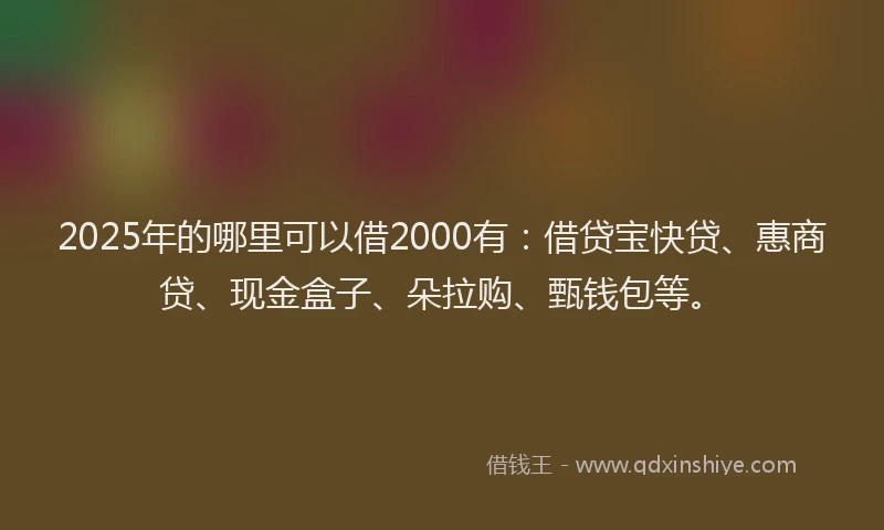 2025年的哪里可以借2000有：借贷宝快贷、惠商贷、现金盒子、朵拉购、甄钱包等。