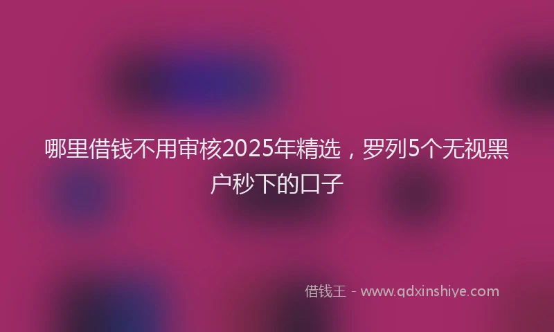 哪里借钱不用审核2025年精选，罗列5个无视黑户秒下的口子