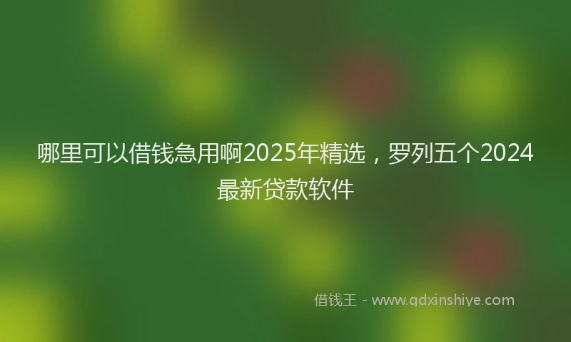 哪里可以借钱急用啊2025年精选，罗列五个2024最新贷款软件