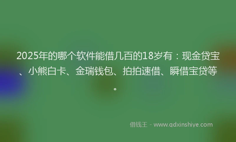 2025年的哪个软件能借几百的18岁有：现金贷宝、小熊白卡、金瑞钱包、拍拍速借、瞬借宝贷等。