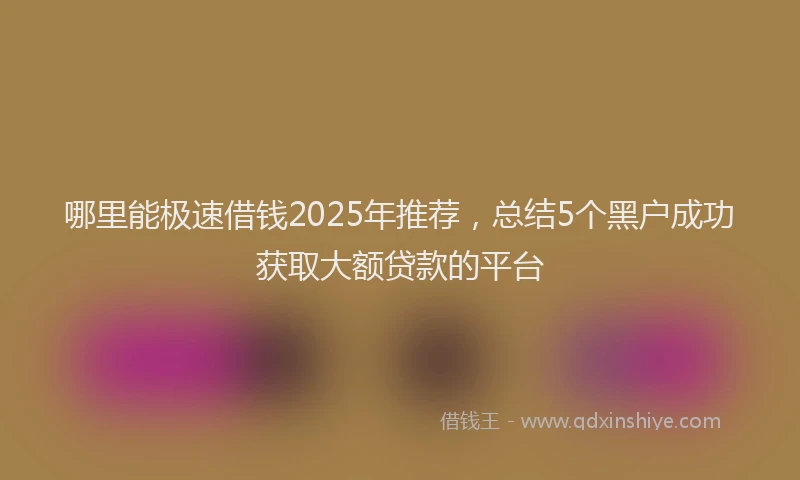 哪里能极速借钱2025年推荐，总结5个黑户成功获取大额贷款的平台