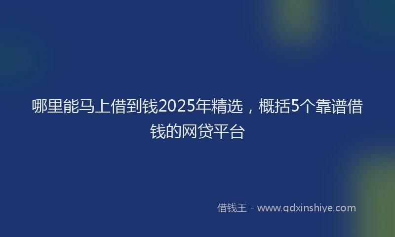 哪里能马上借到钱2025年精选，概括5个靠谱借钱的网贷平台