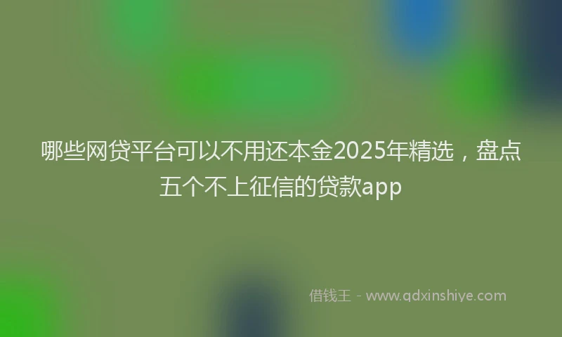 哪些网贷平台可以不用还本金2025年精选，盘点五个不上征信的贷款app