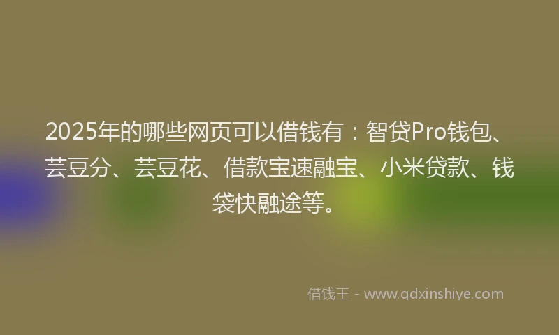 2025年的哪些网页可以借钱有：智贷Pro钱包、芸豆分、芸豆花、借款宝速融宝、小米贷款、钱袋快融途等。