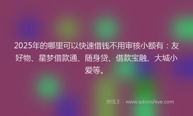 2025年的哪里可以快速借钱不用审核小额有：友好物、星梦借款通、随身贷、借款宝融、大城小爱等。