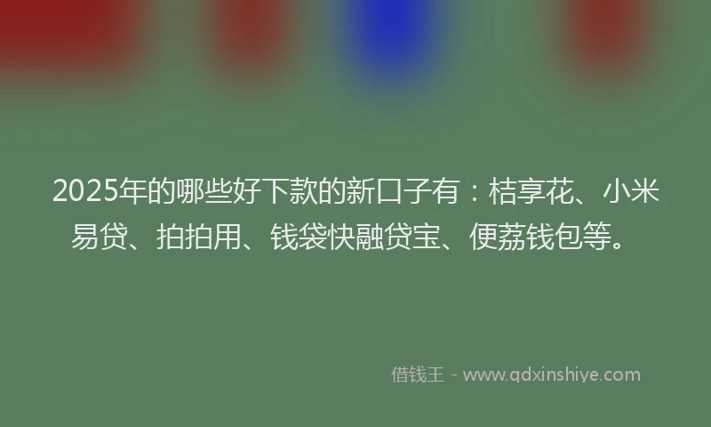 2025年的哪些好下款的新口子有：桔享花、小米易贷、拍拍用、钱袋快融贷宝、便荔钱包等。
