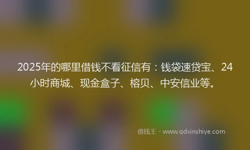 2025年的哪里借钱不看征信有：钱袋速贷宝、24小时商城、现金盒子、榕贝、中安信业等。