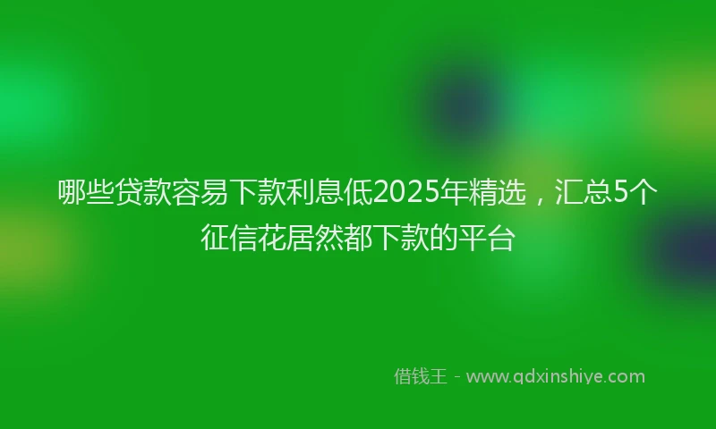 哪些贷款容易下款利息低2025年精选，汇总5个征信花居然都下款的平台