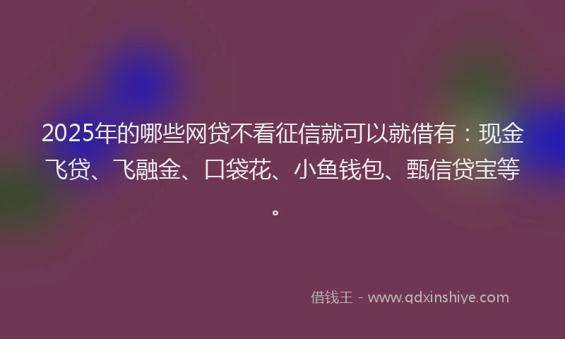 2025年的哪些网贷不看征信就可以就借有：现金飞贷、飞融金、口袋花、小鱼钱包、甄信贷宝等。