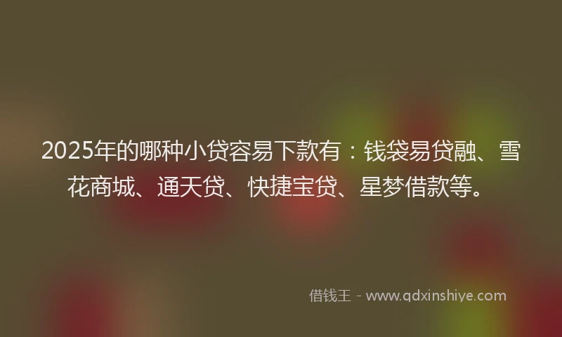 2025年的哪种小贷容易下款有：钱袋易贷融、雪花商城、通天贷、快捷宝贷、星梦借款等。
