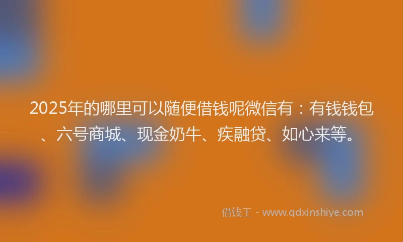 2025年的哪里可以随便借钱呢微信有：有钱钱包、六号商城、现金奶牛、疾融贷、如心来等。