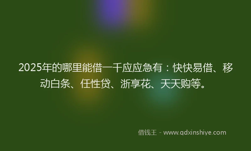 2025年的哪里能借一千应应急有：快快易借、移动白条、任性贷、浙享花、天天购等。