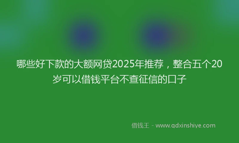 哪些好下款的大额网贷2025年推荐，整合五个20岁可以借钱平台不查征信的口子