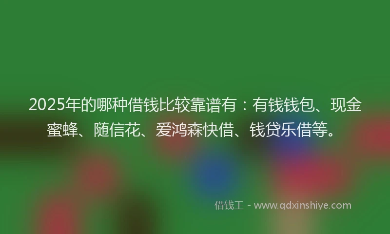 2025年的哪种借钱比较靠谱有：有钱钱包、现金蜜蜂、随信花、爱鸿森快借、钱贷乐借等。