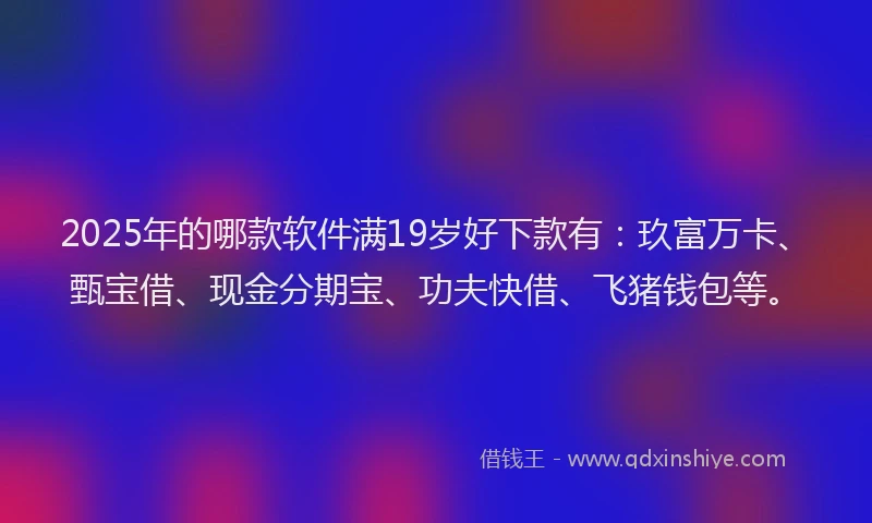 2025年的哪款软件满19岁好下款有：玖富万卡、甄宝借、现金分期宝、功夫快借、飞猪钱包等。