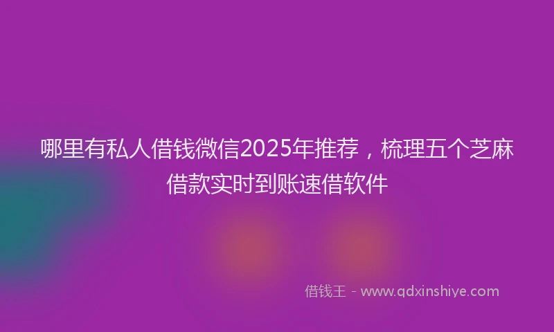 哪里有私人借钱微信2025年推荐，梳理五个芝麻借款实时到账速借软件