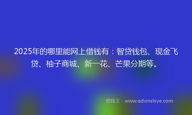 2025年的哪里能网上借钱有：智贷钱包、现金飞贷、柚子商城、新一花、芒果分期等。