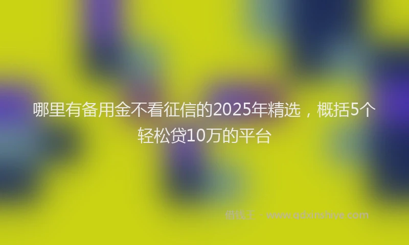 哪里有备用金不看征信的2025年精选,概括5个轻松贷10万的平台