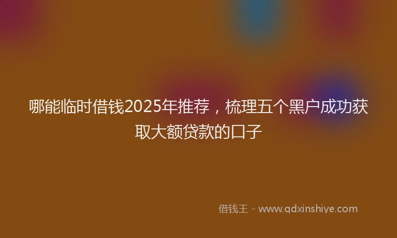 哪能临时借钱2025年推荐，梳理五个黑户成功获取大额贷款的口子