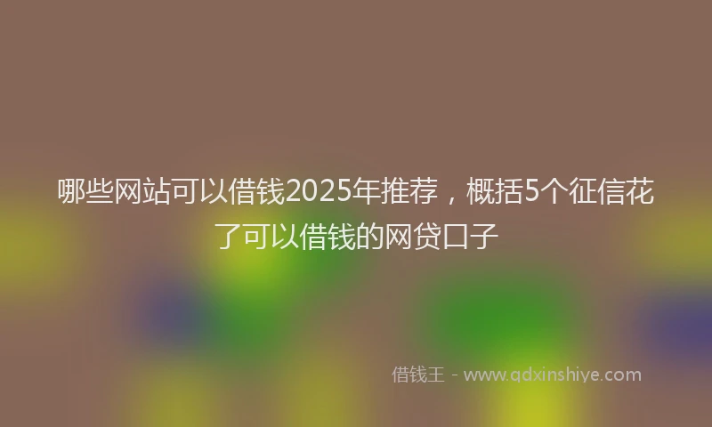 哪些网站可以借钱2025年推荐，概括5个征信花了可以借钱的网贷口子