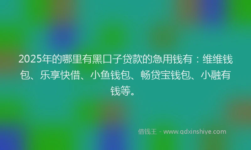 2025年的哪里有黑口子贷款的急用钱有：维维钱包、乐享快借、小鱼钱包、畅贷宝钱包、小融有钱等。