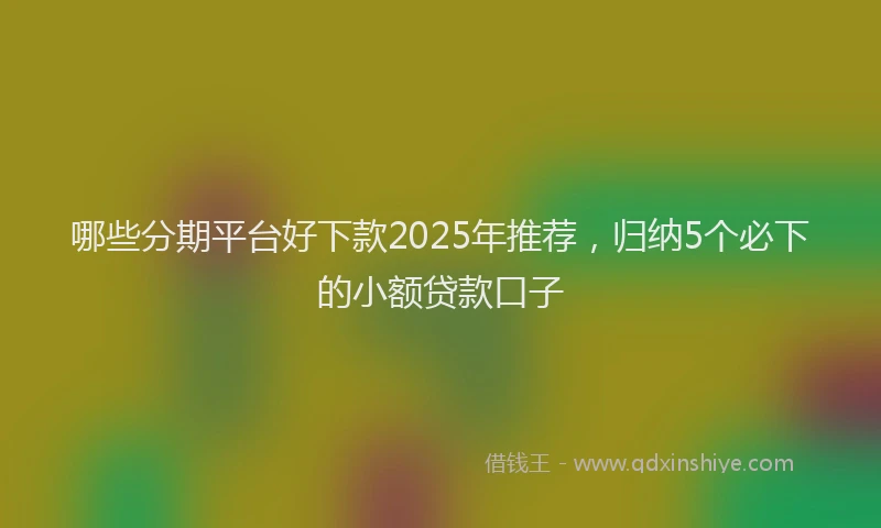 哪些分期平台好下款2025年推荐，归纳5个必下的小额贷款口子