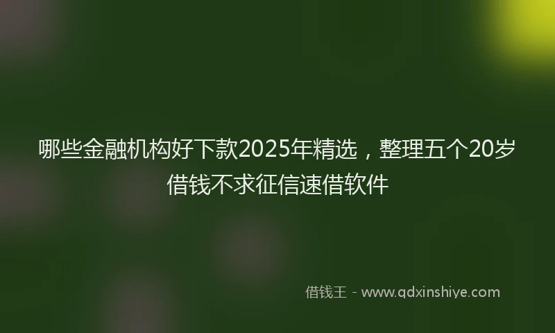 哪些金融机构好下款2025年精选，整理五个20岁借钱不求征信速借软件