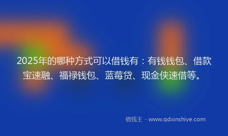 2025年的哪种方式可以借钱有：有钱钱包、借款宝速融、福禄钱包、蓝莓贷、现金侠速借等。