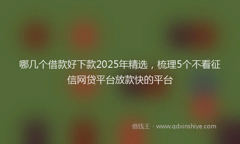 哪几个借款好下款2025年精选，梳理5个不看征信网贷平台放款快的平台