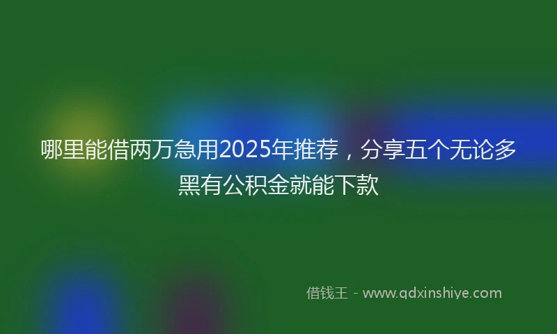 哪里能借两万急用2025年推荐，分享五个无论多黑有公积金就能下款