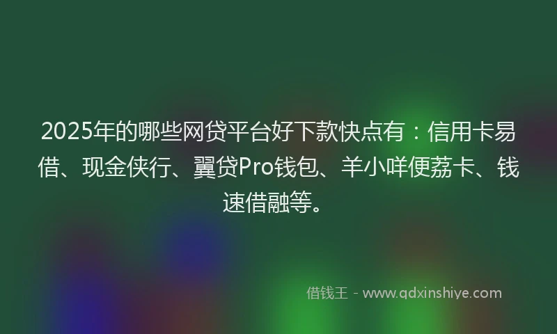2025年的哪些网贷平台好下款快点有：信用卡易借、现金侠行、翼贷Pro钱包、羊小咩便荔卡、钱速借融等。