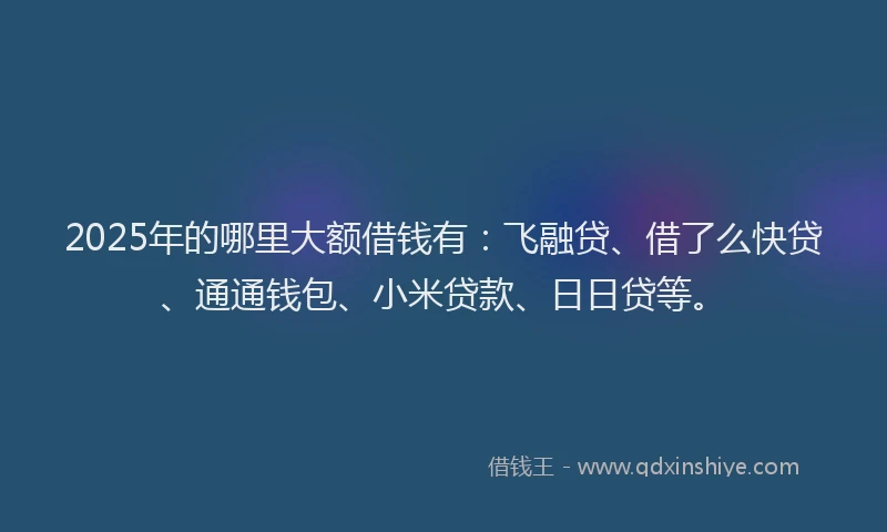 2025年的哪里大额借钱有：飞融贷、借了么快贷、通通钱包、小米贷款、日日贷等。