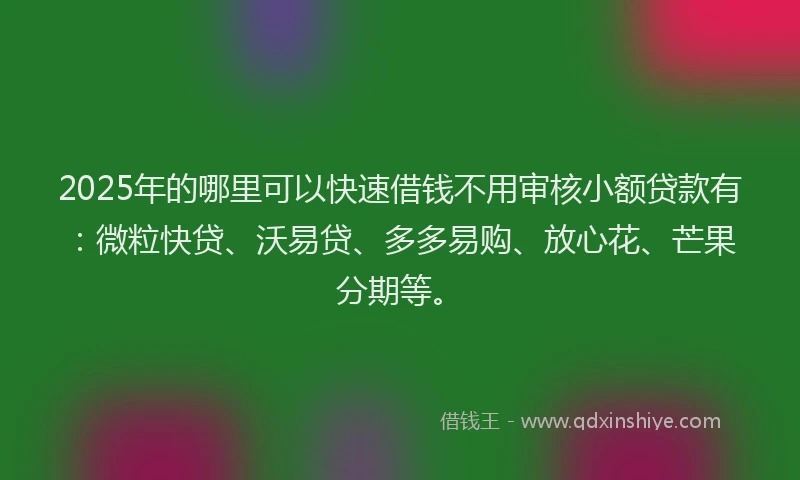 2025年的哪里可以快速借钱不用审核小额贷款有：微粒快贷、沃易贷、多多易购、放心花、芒果分期等。
