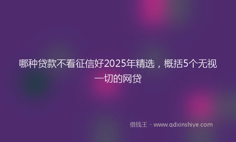 哪种贷款不看征信好2025年精选，概括5个无视一切的网贷