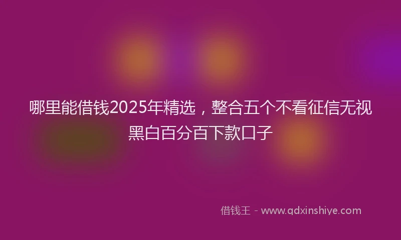 哪里能借钱2025年精选，整合五个不看征信无视黑白百分百下款口子