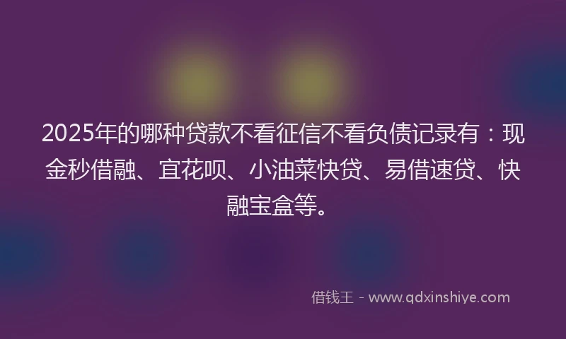 2025年的哪种贷款不看征信不看负债记录有：现金秒借融、宜花呗、小油菜快贷、易借速贷、快融宝盒等。