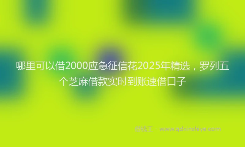 哪里可以借2000应急征信花2025年精选，罗列五个芝麻借款实时到账速借口子