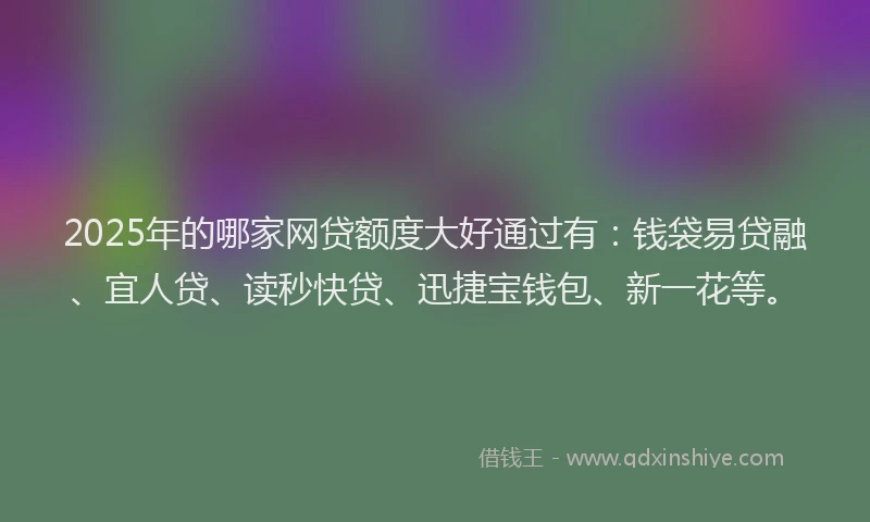 2025年的哪家网贷额度大好通过有：钱袋易贷融、宜人贷、读秒快贷、迅捷宝钱包、新一花等。