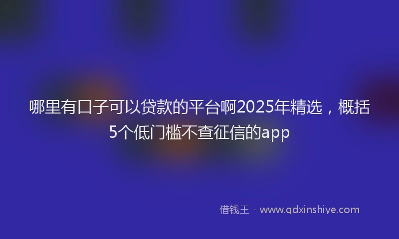 哪里有口子可以贷款的平台啊2025年精选，概括5个低门槛不查征信的app