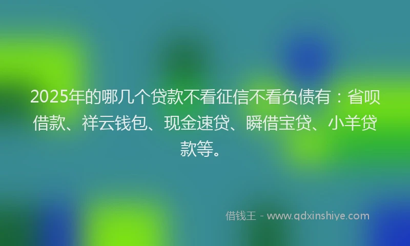 2025年的哪几个贷款不看征信不看负债有：省呗借款、祥云钱包、现金速贷、瞬借宝贷、小羊贷款等。