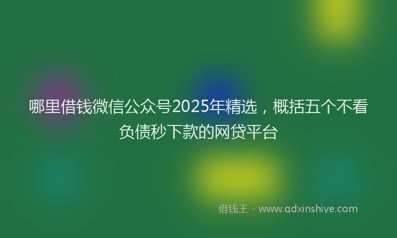 哪里借钱微信公众号2025年精选,概括五个不看负债秒下款的网贷平台