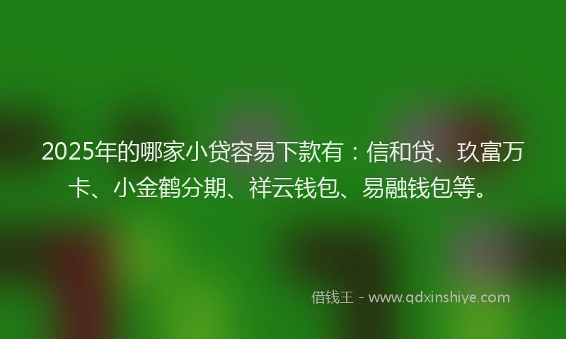 2025年的哪家小贷容易下款有：信和贷、玖富万卡、小金鹤分期、祥云钱包、易融钱包等。