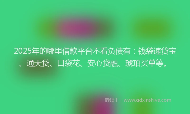 2025年的哪里借款平台不看负债有：钱袋速贷宝、通天贷、口袋花、安心贷融、琥珀买单等。