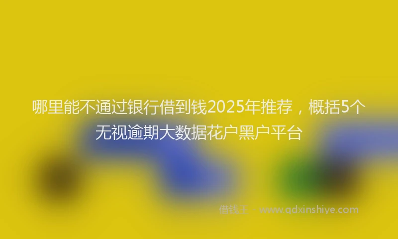哪里能不通过银行借到钱2025年推荐，概括5个无视逾期大数据花户黑户平台