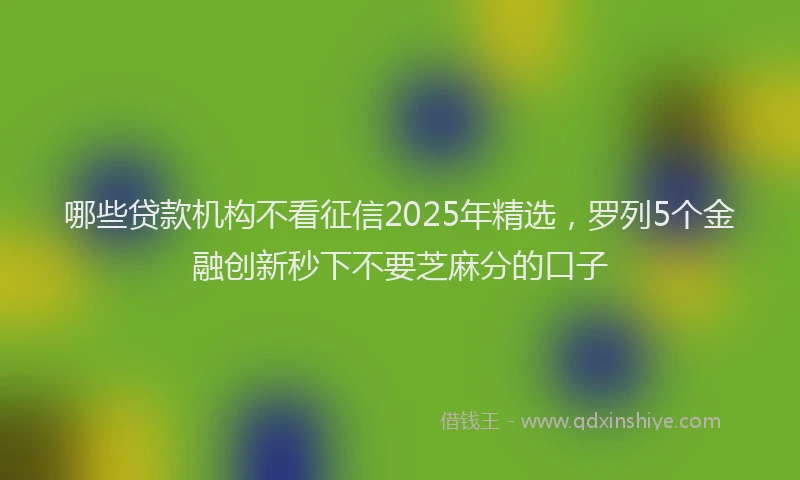 哪些贷款机构不看征信2025年精选，罗列5个金融创新秒下不要芝麻分的口子