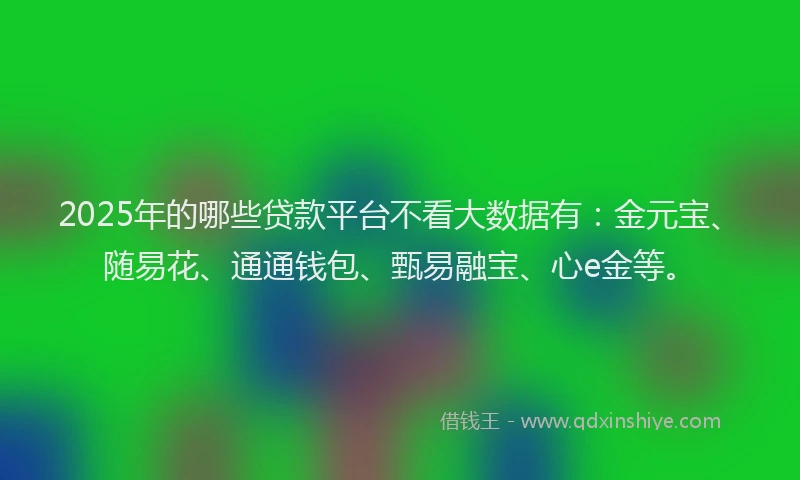 2025年的哪些贷款平台不看大数据有：金元宝、随易花、通通钱包、甄易融宝、心e金等。