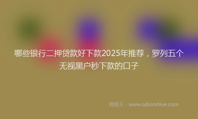 哪些银行二押贷款好下款2025年推荐，罗列五个无视黑户秒下款的口子