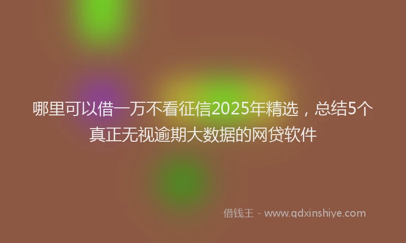 哪里可以借一万不看征信2025年精选，总结5个真正无视逾期大数据的网贷软件