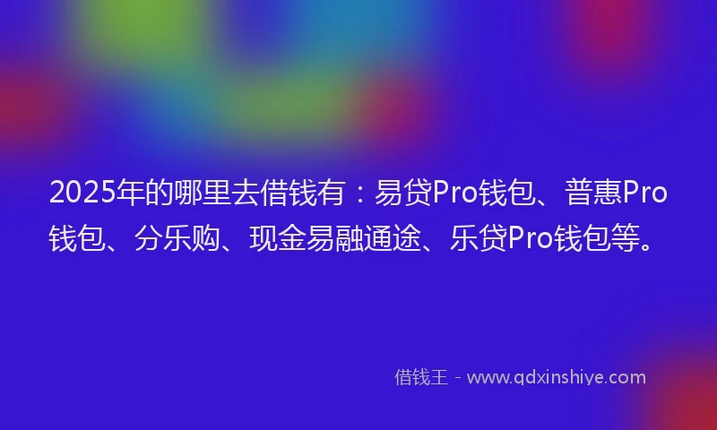 2025年的哪里去借钱有：易贷Pro钱包、普惠Pro钱包、分乐购、现金易融通途、乐贷Pro钱包等。