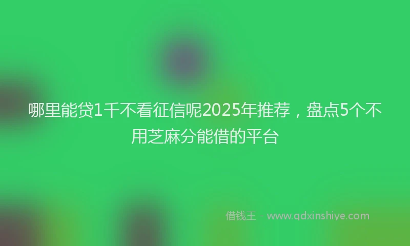 哪里能贷1千不看征信呢2025年推荐，盘点5个不用芝麻分能借的平台